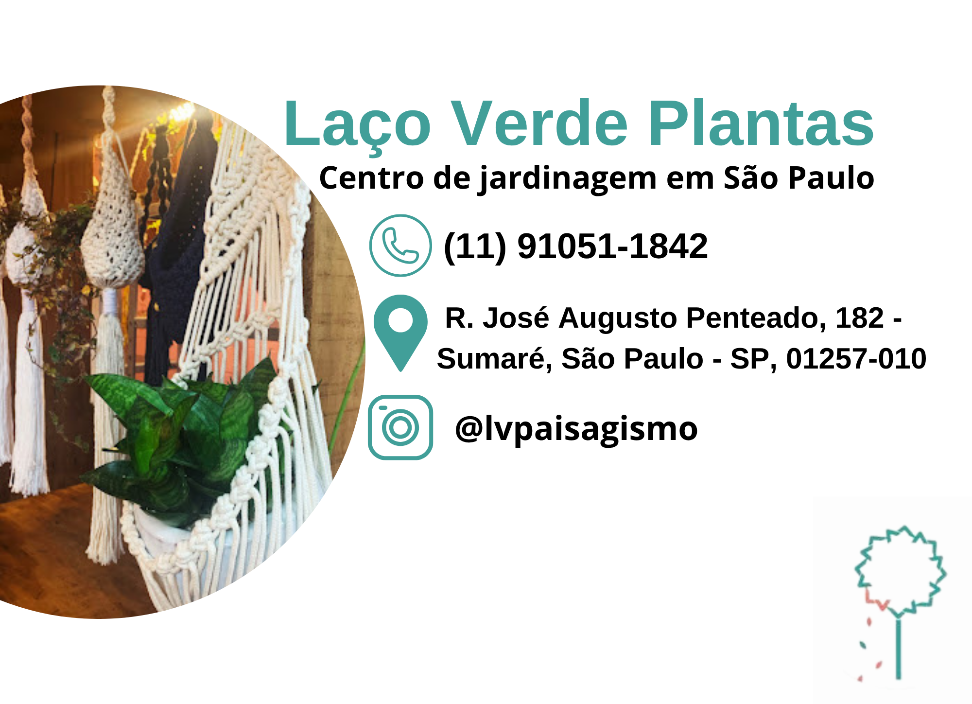 Laço Verde Plantas