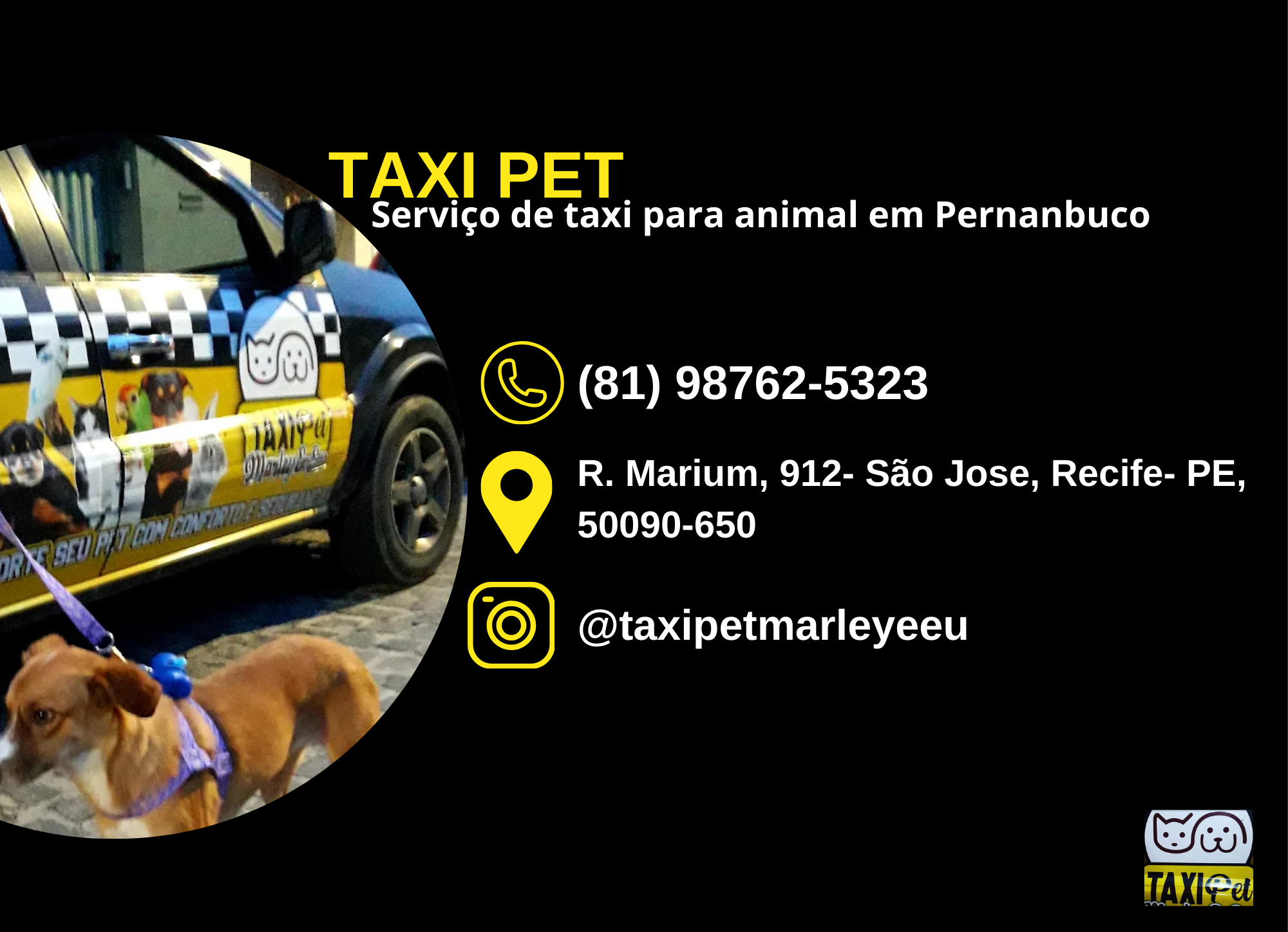 TAXI PET