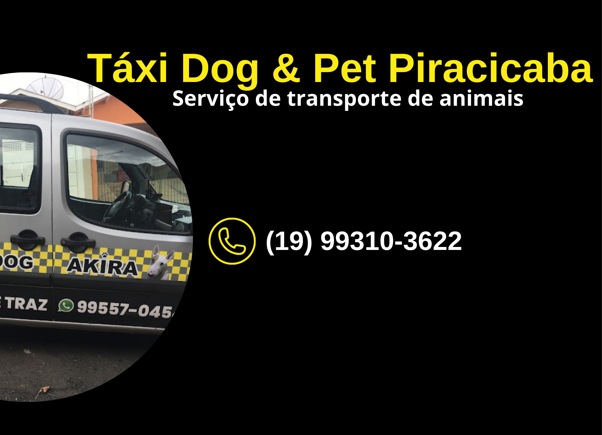 Táxi Dog & Pet Piracicaba