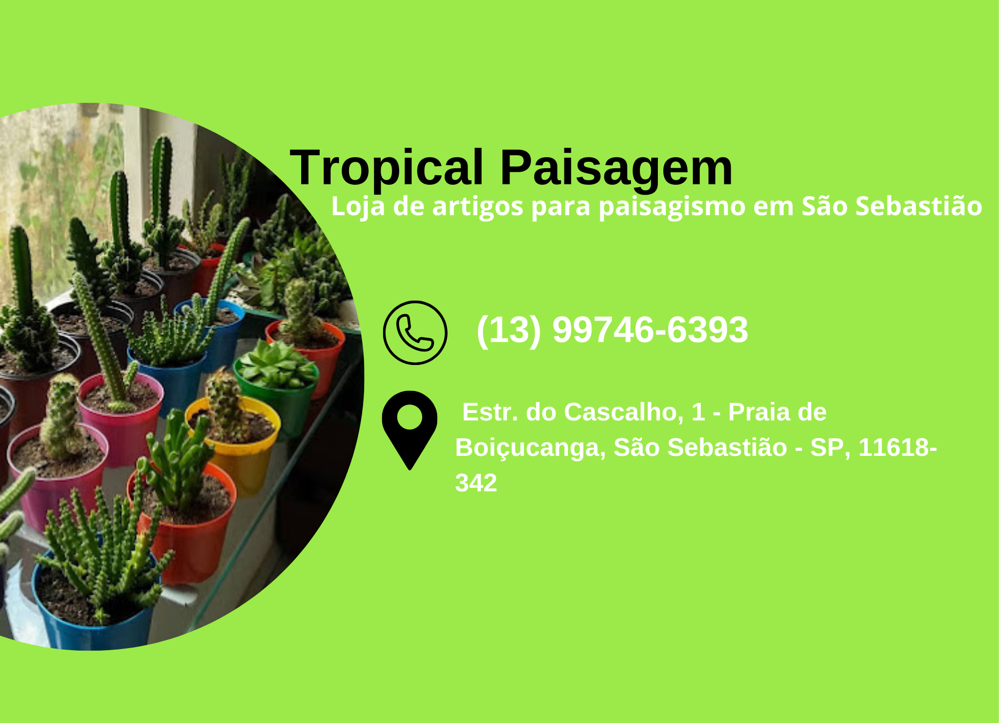 Tropical Paisagem