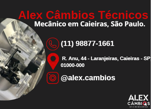 ALEX CAMBIOS TECNICOS