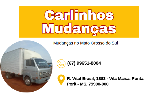 Carlinhos Mudanças