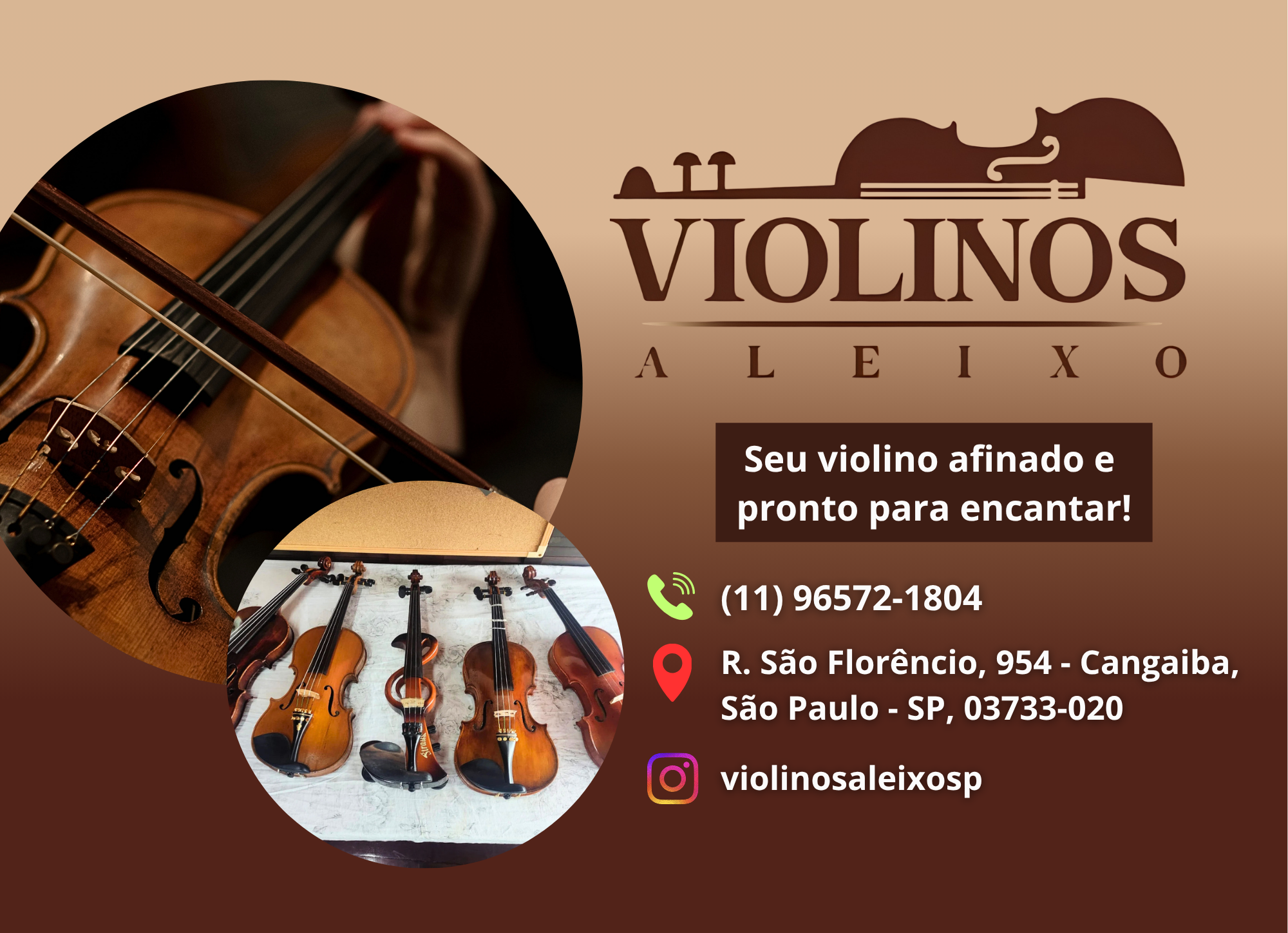 David Aleixo Violinos