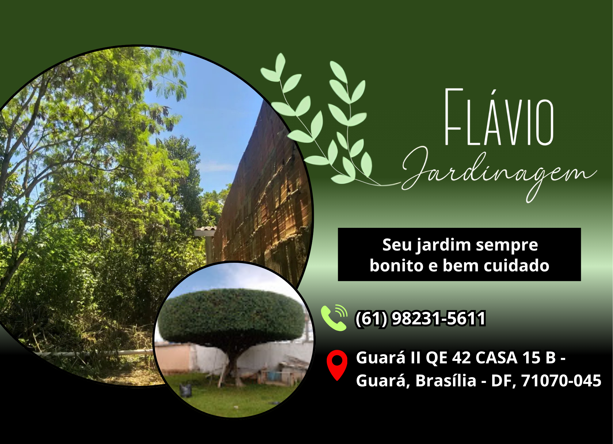 Flávio Jardinagem & Paisagismo